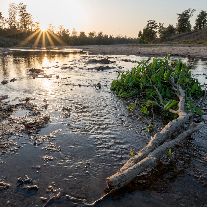 all nature boot camp with forest campfire with Sinali Experiences